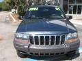 2001 Steel Blue Pearl Jeep Grand Cherokee Laredo  photo #55