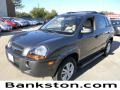 Dark Titanium Gray 2009 Hyundai Tucson GLS