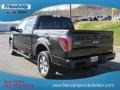 Tuxedo Black Metallic - F150 FX4 SuperCrew 4x4 Photo No. 9