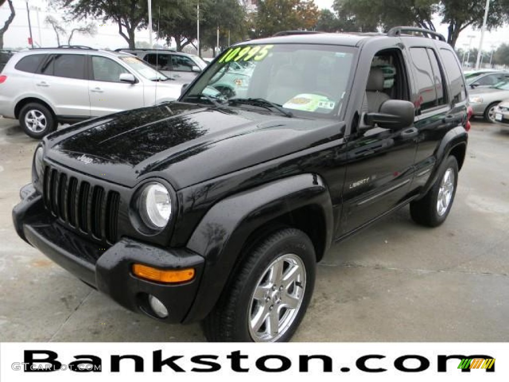 Black Clearcoat Jeep Liberty