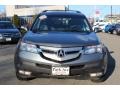 2009 Sterling Gray Metallic Acura MDX Technology  photo #8