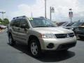 2006 Platinum Beige Pearl Mitsubishi Endeavor Limited  photo #7