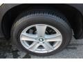 Platinum Bronze Metallic - X5 4.8i Photo No. 33