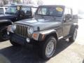 2004 Light Khaki Metallic Jeep Wrangler Sport 4x4  photo #1