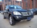 Black - ML 350 4Matic Photo No. 4