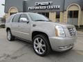 Quicksilver - Escalade AWD Photo No. 5