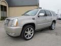 2008 Quicksilver Cadillac Escalade AWD  photo #7