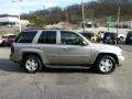 2003 Light Pewter Metallic Chevrolet TrailBlazer LT 4x4  photo #6