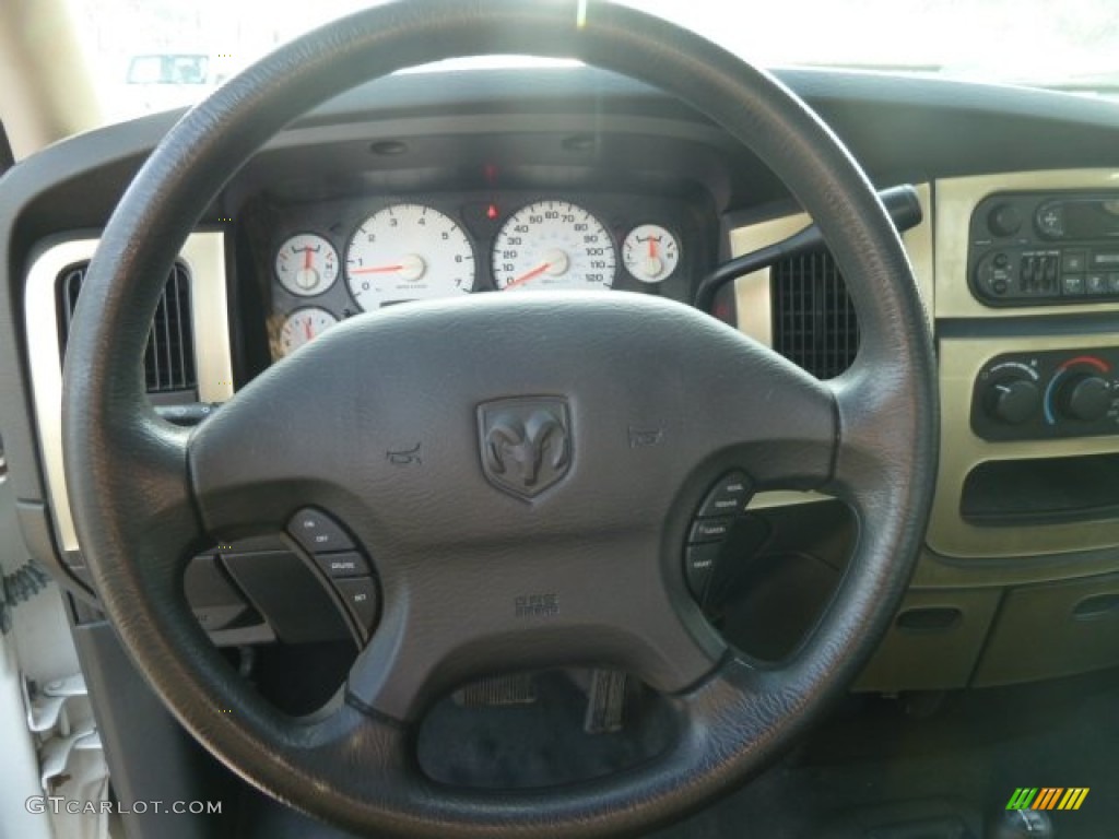 2002 Ram 1500 ST Regular Cab 4x4 - Bright White / Dark Slate Gray photo #22