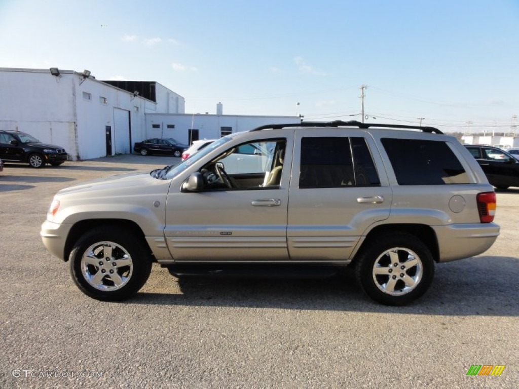 2004 Grand Cherokee Limited 4x4 - Light Pewter Metallic / Sandstone photo #11