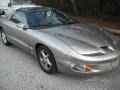 Pewter Metallic - Firebird Formula Coupe Photo No. 4