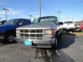 Pewter Metallic - C/K C1500 Regular Cab Photo No. 2