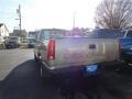 Pewter Metallic - C/K C1500 Regular Cab Photo No. 3