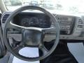 1998 Pewter Metallic Chevrolet C/K C1500 Regular Cab  photo #5