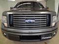 Sterling Gray Metallic - F150 FX2 SuperCrew Photo No. 3