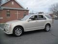 Gold Mist 2007 Cadillac SRX 4 V6 AWD