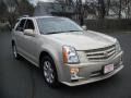 Gold Mist - SRX 4 V6 AWD Photo No. 11