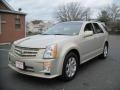 Gold Mist - SRX 4 V6 AWD Photo No. 12