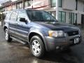 True Blue Metallic - Escape XLT V6 4WD Photo No. 1