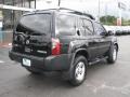 Super Black - Xterra SE Photo No. 9