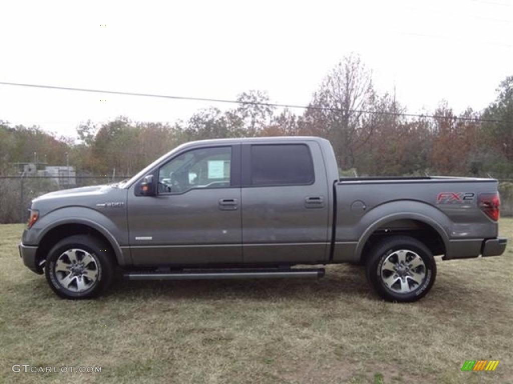 Sterling Gray Metallic 2012 Ford F150 FX2 SuperCrew Exterior Photo #57795779