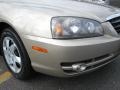 2006 Champagne Beige Hyundai Elantra GLS Sedan  photo #2