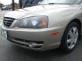 2006 Champagne Beige Hyundai Elantra GLS Sedan  photo #4