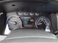 Steel Gray Gauges Photo for 2012 Ford F150 #57796503