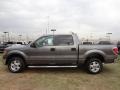 Sterling Gray Metallic 2012 Ford F150 XLT SuperCrew Exterior