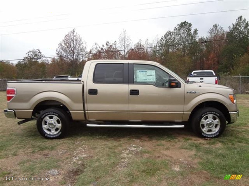 Pale Adobe Metallic 2012 Ford F150 XLT SuperCrew Exterior Photo #57796833