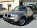 Sterling Grey Metallic - X5 3.0i Photo No. 2