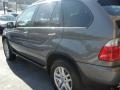 Sterling Grey Metallic - X5 3.0i Photo No. 8