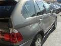 Sterling Grey Metallic - X5 3.0i Photo No. 9