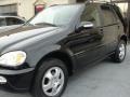 Black - ML 320 4Matic Photo No. 8