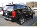 Black Raven - Escalade AWD Photo No. 6