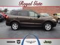 Espresso Brown - Santa Fe GLS AWD Photo No. 1