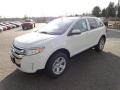 White Suede - Edge SEL AWD Photo No. 5