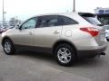 Satin Beige Metallic - Veracruz GLS Photo No. 3