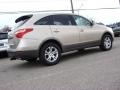 Satin Beige Metallic - Veracruz GLS Photo No. 4