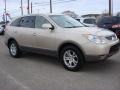 Satin Beige Metallic - Veracruz GLS Photo No. 5