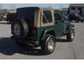 Forest Green - Wrangler Sahara 4x4 Photo No. 3