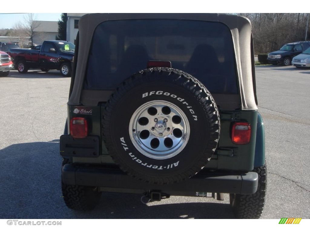2001 Wrangler Sahara 4x4 - Forest Green / Camel/Dark Green photo #4