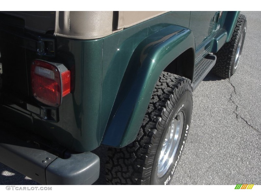 2001 Wrangler Sahara 4x4 - Forest Green / Camel/Dark Green photo #8