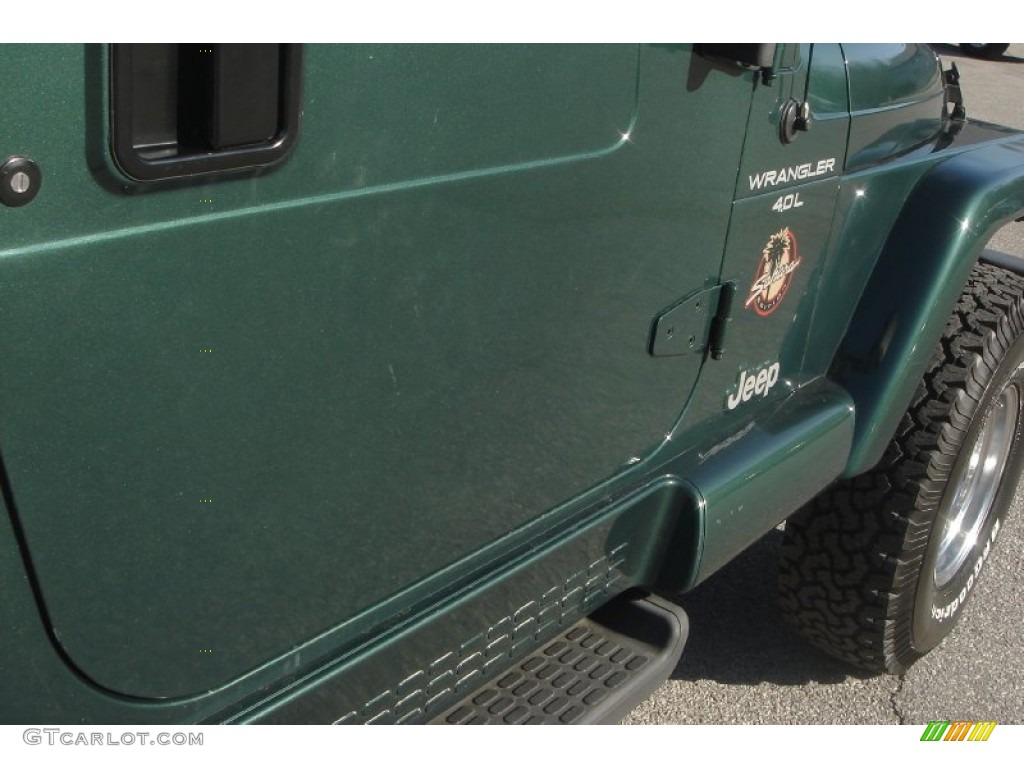 2001 Wrangler Sahara 4x4 - Forest Green / Camel/Dark Green photo #13