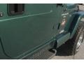 Forest Green - Wrangler Sahara 4x4 Photo No. 13