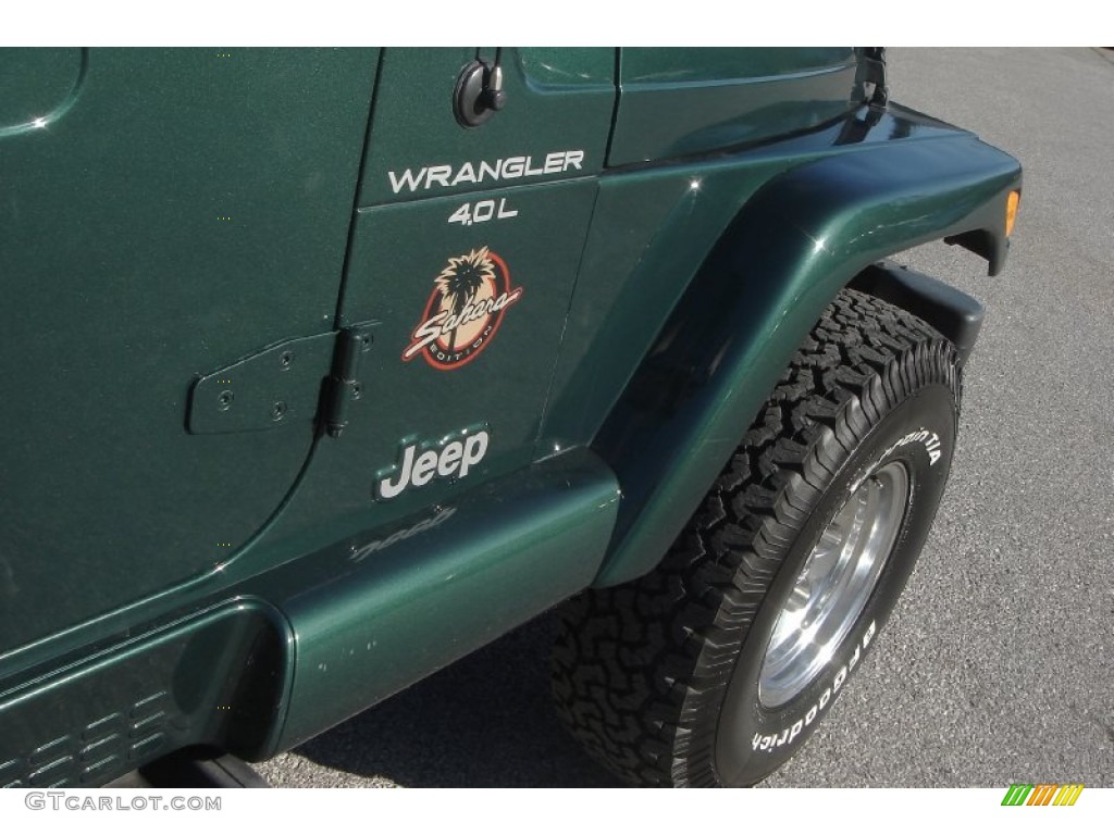 2001 Wrangler Sahara 4x4 - Forest Green / Camel/Dark Green photo #15