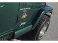 Forest Green - Wrangler Sahara 4x4 Photo No. 15