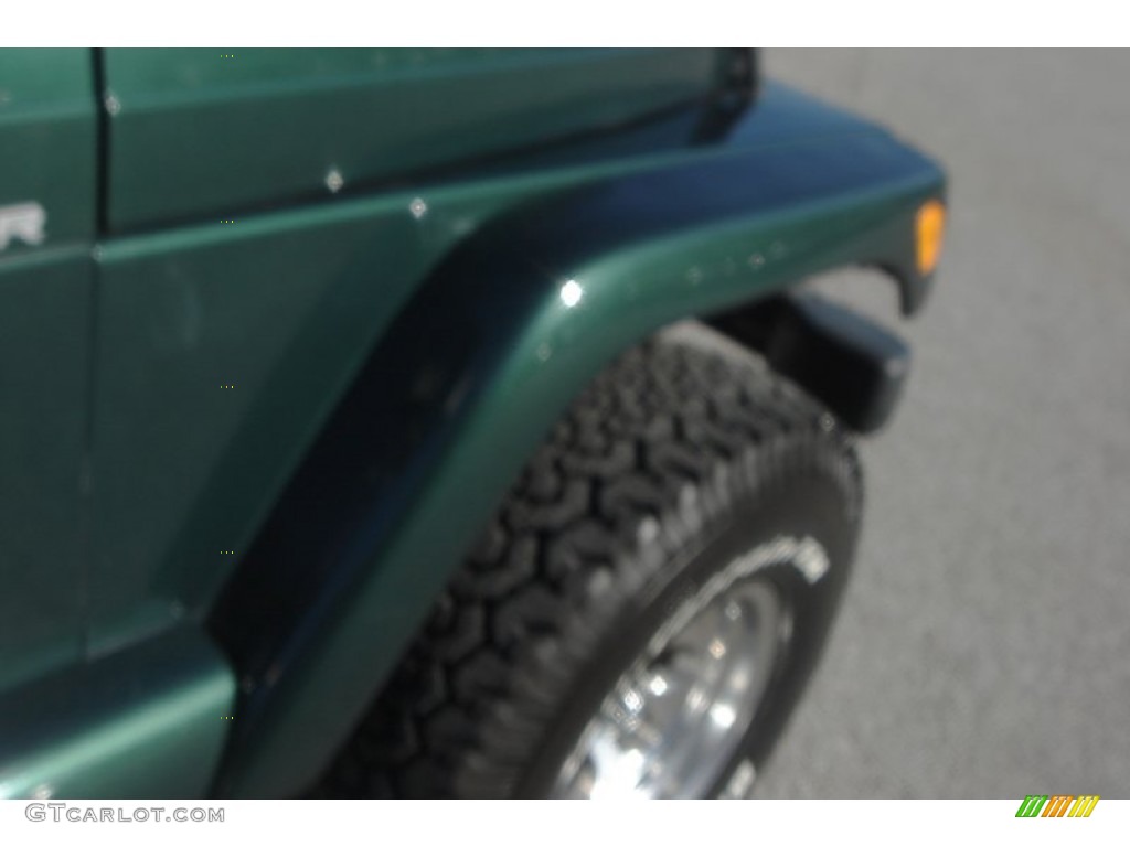 2001 Wrangler Sahara 4x4 - Forest Green / Camel/Dark Green photo #16