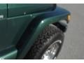 Forest Green - Wrangler Sahara 4x4 Photo No. 16