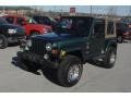 Forest Green - Wrangler Sahara 4x4 Photo No. 33